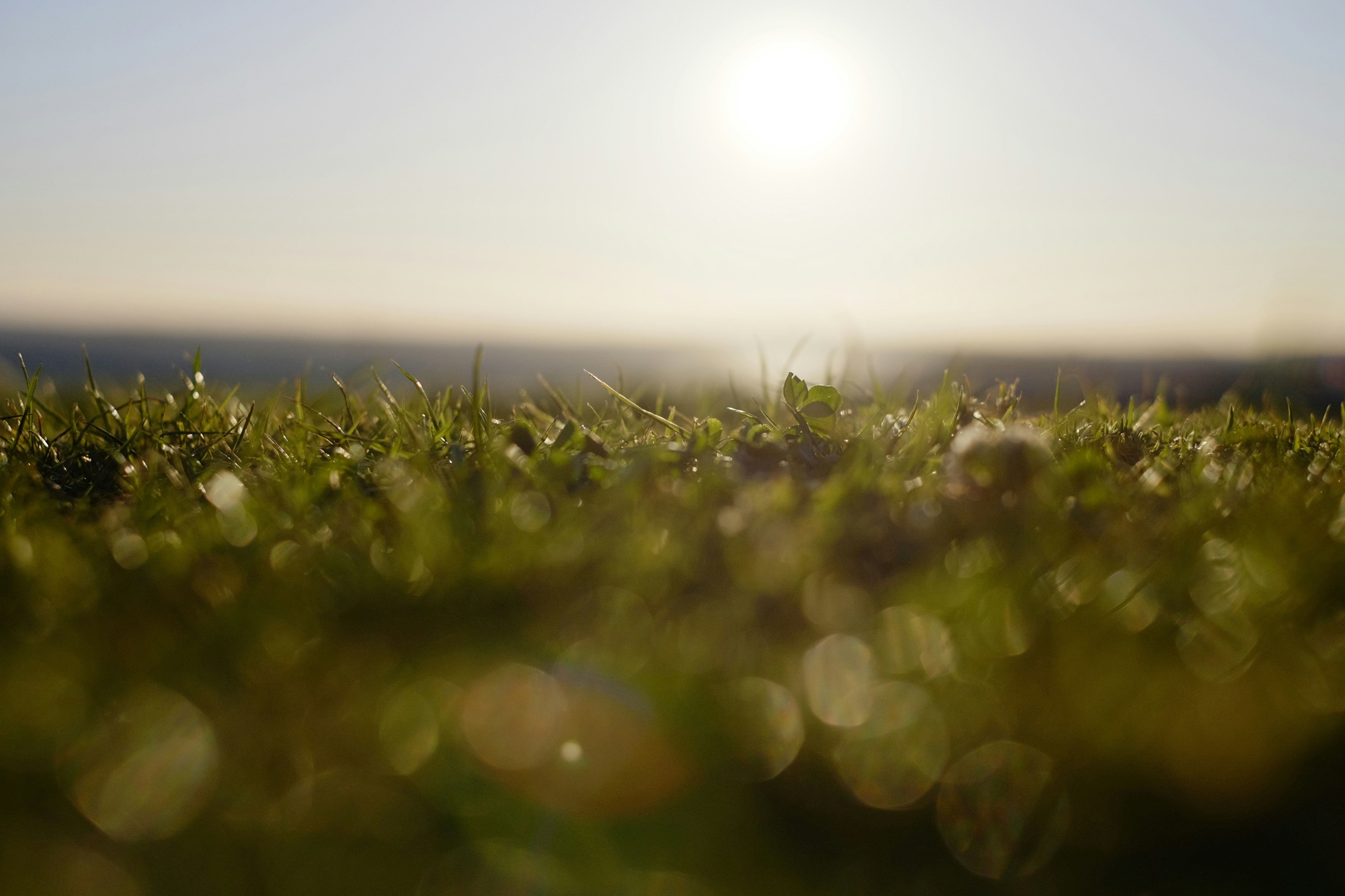 Sustainable & Eco-Friendly Photography in Austin