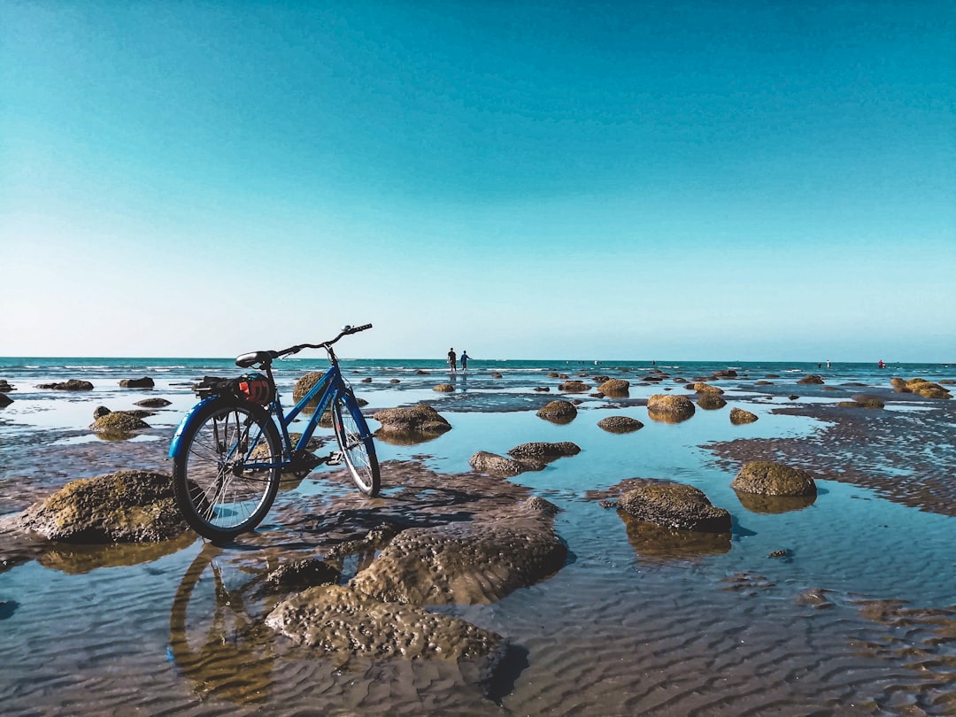 black and blue mountain bike on brown sand near body of water during daytime