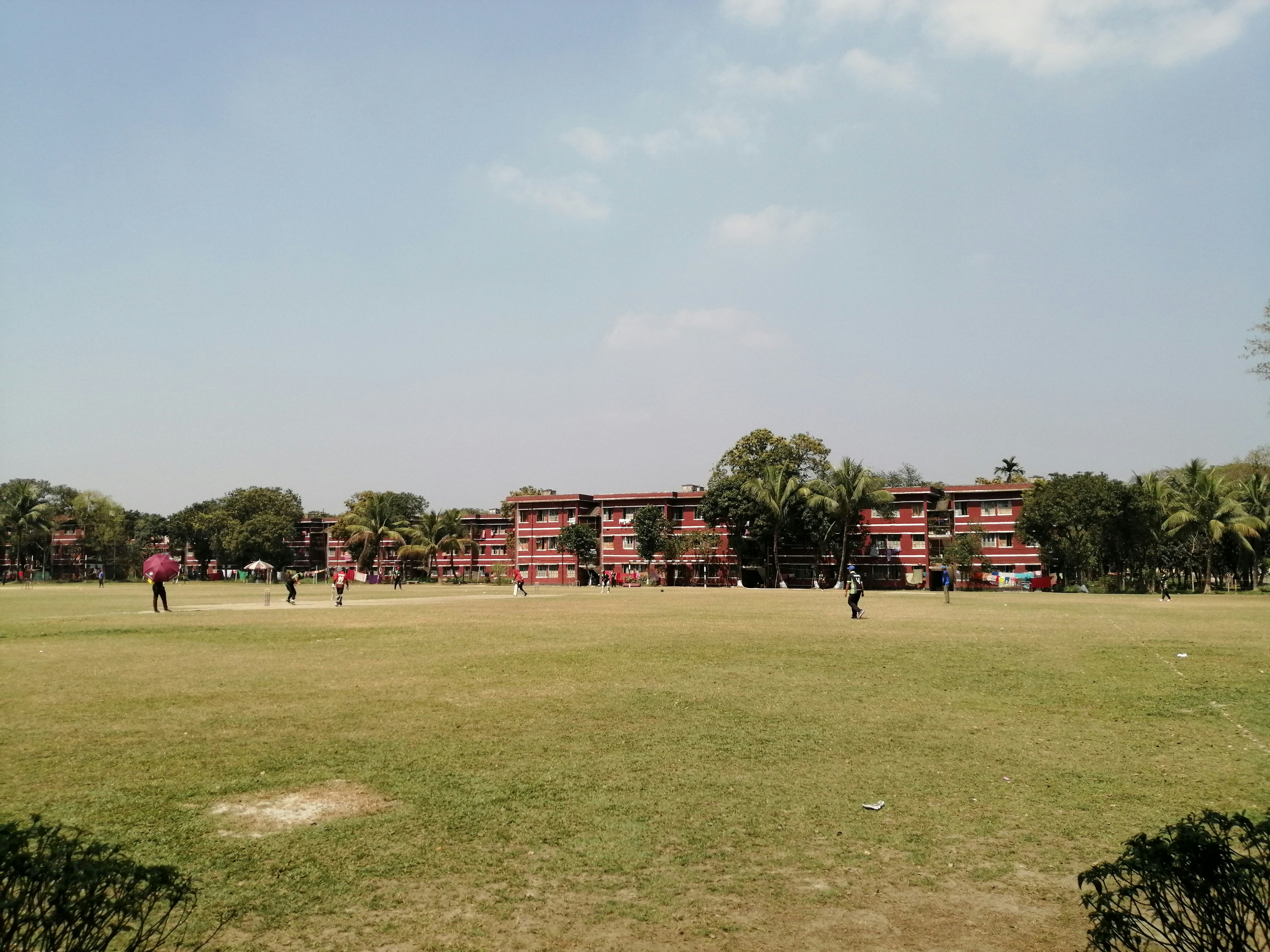 Cricket field training