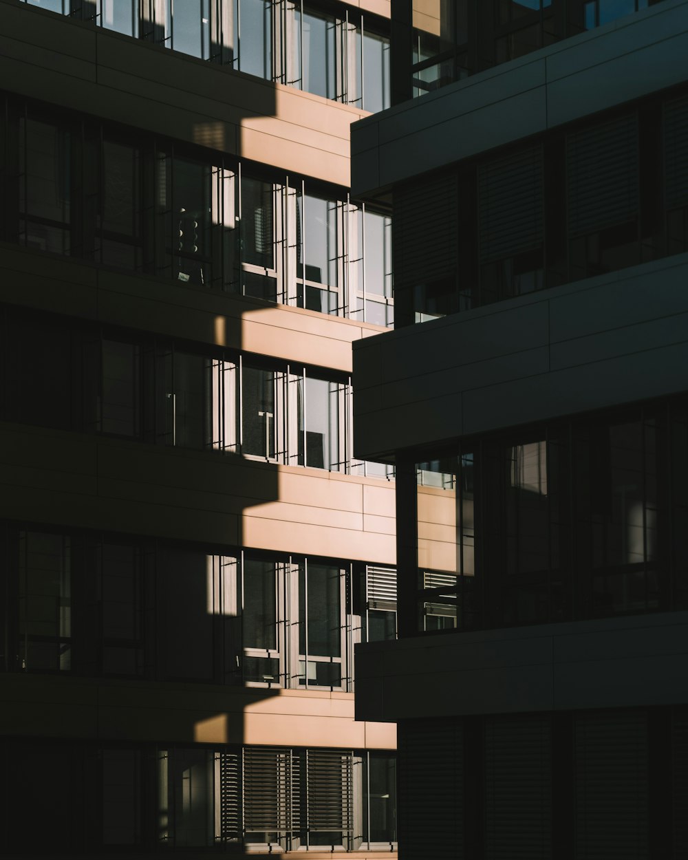 brown and blue concrete building