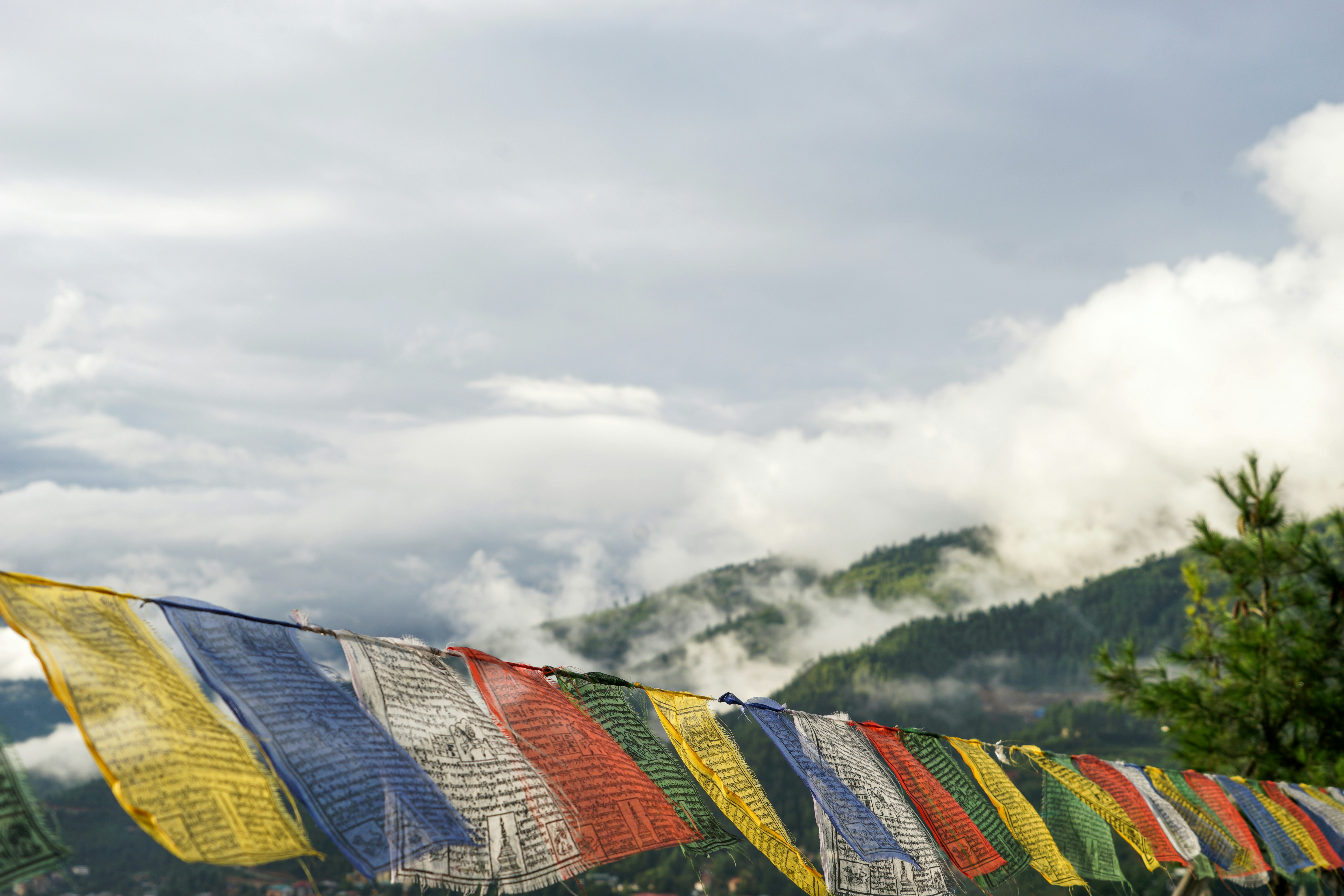 Colorful prayer flags with early summer mists rising in the backdrop