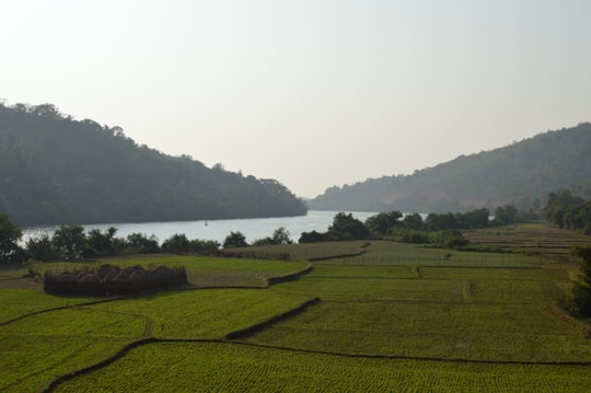 green grass field near body of water during daytime in Kumta India