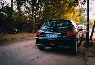 Wide shot of a car parked on a quiet street with the inspector taking notes.