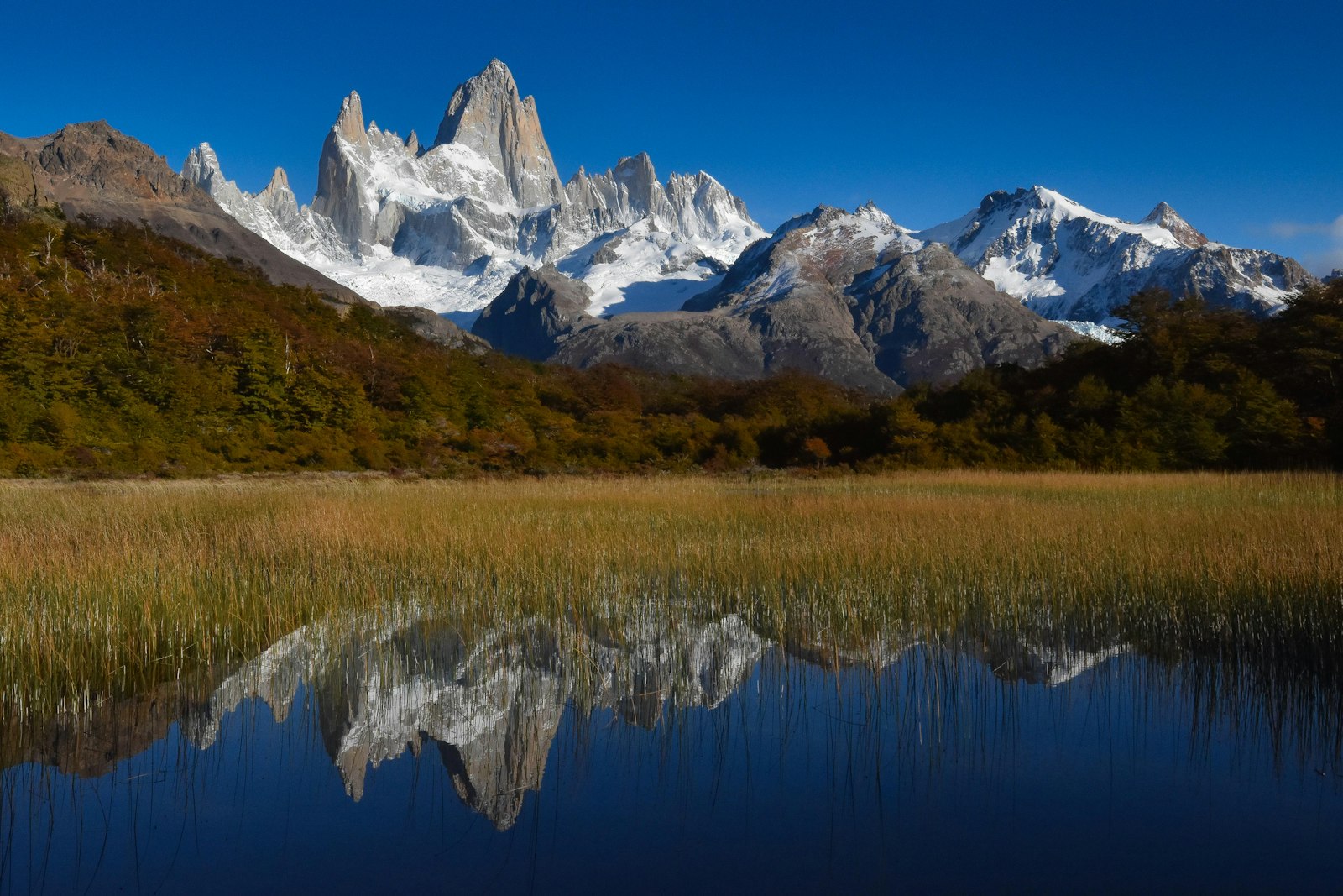 Fitz Roy reflejado en un lago patagónico — la vista insignia de El Chaltén