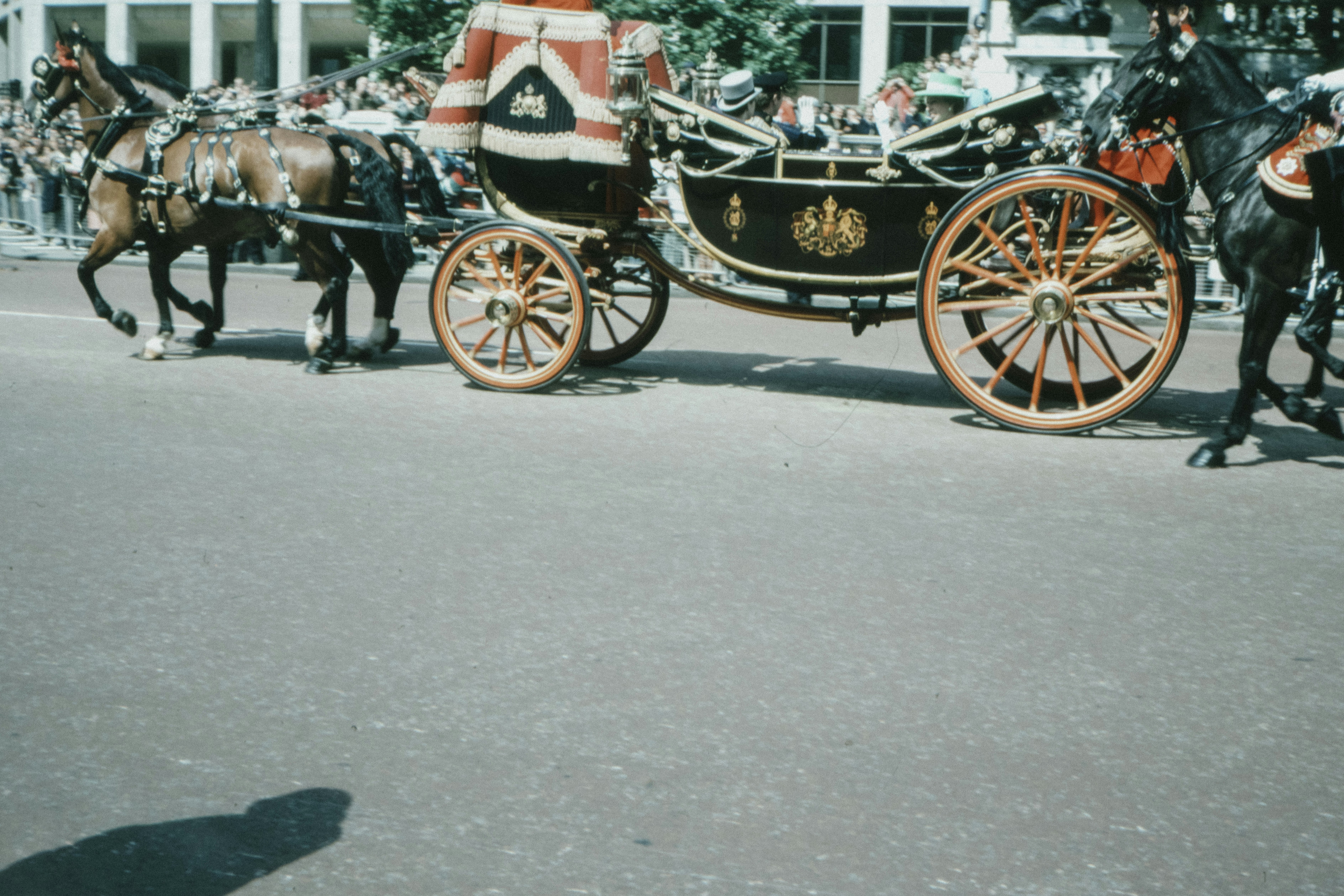 black horse with red and black carriage on road during daytime