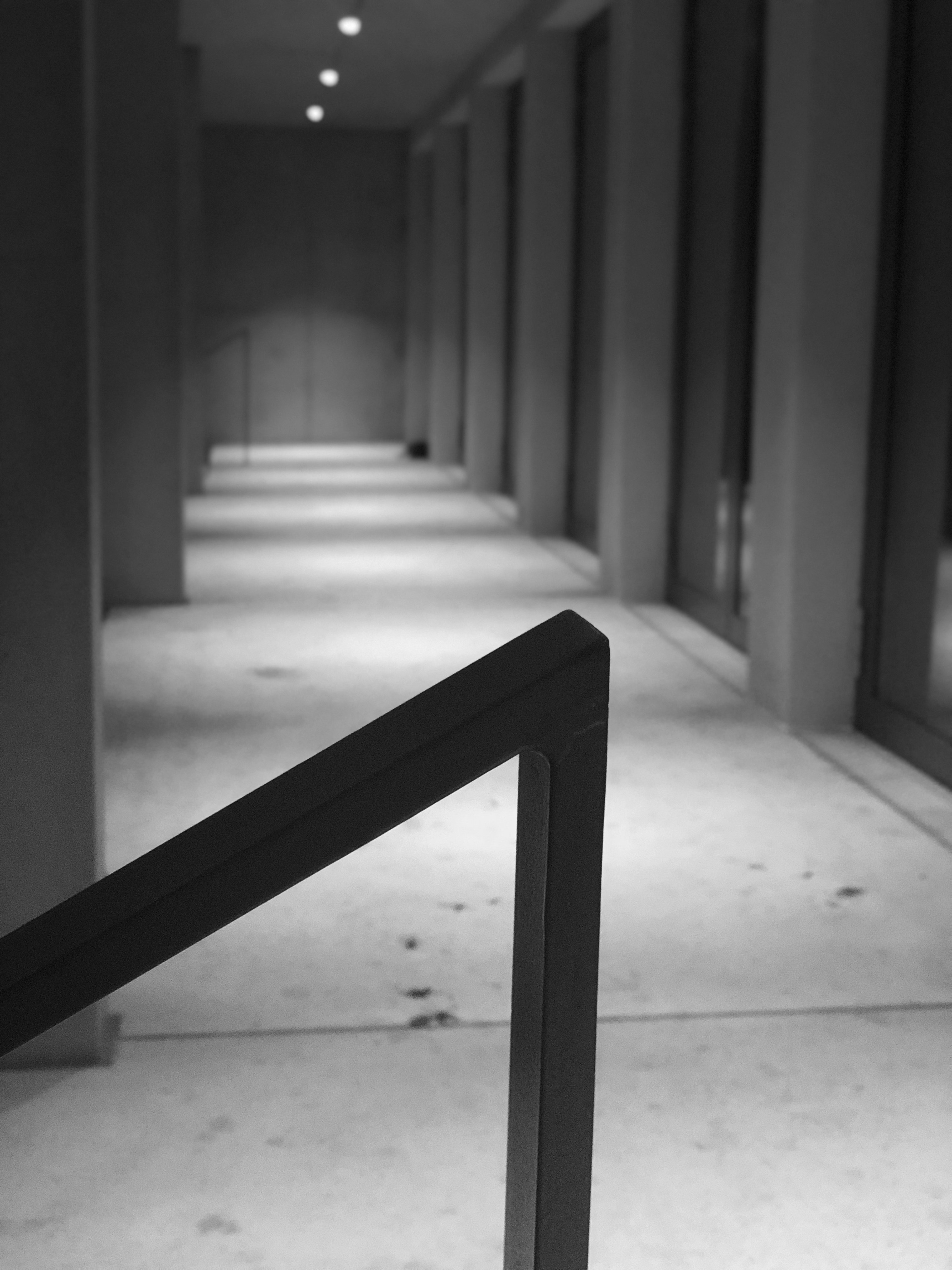 Photo by mondstein03