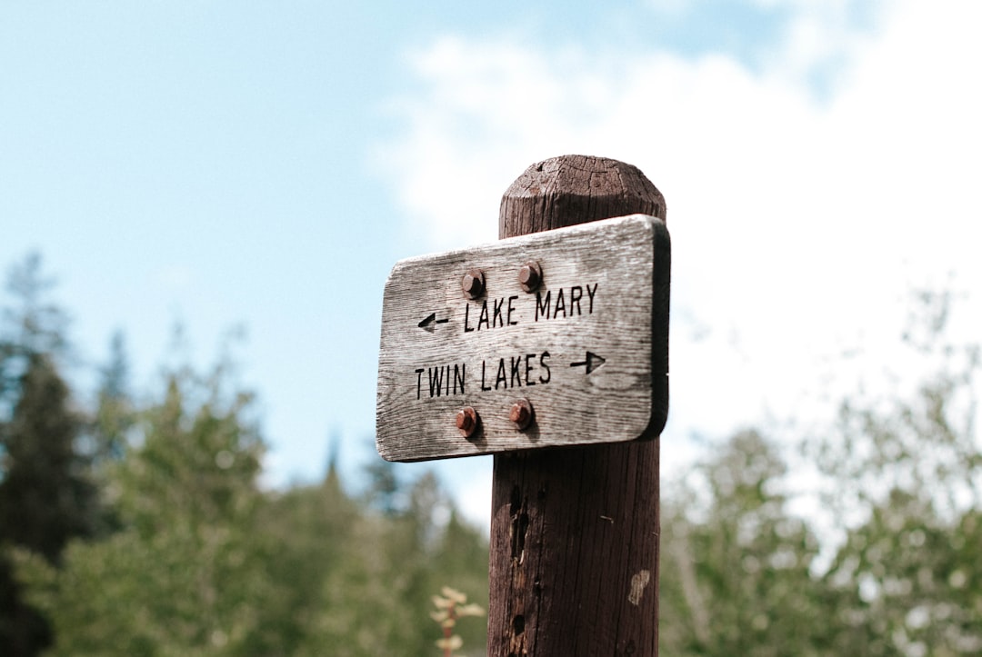 brown wooden signage on tree