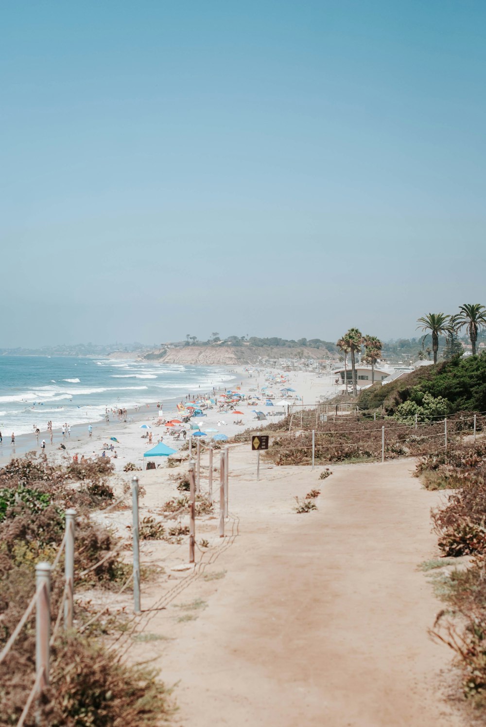 people on beach during daytime