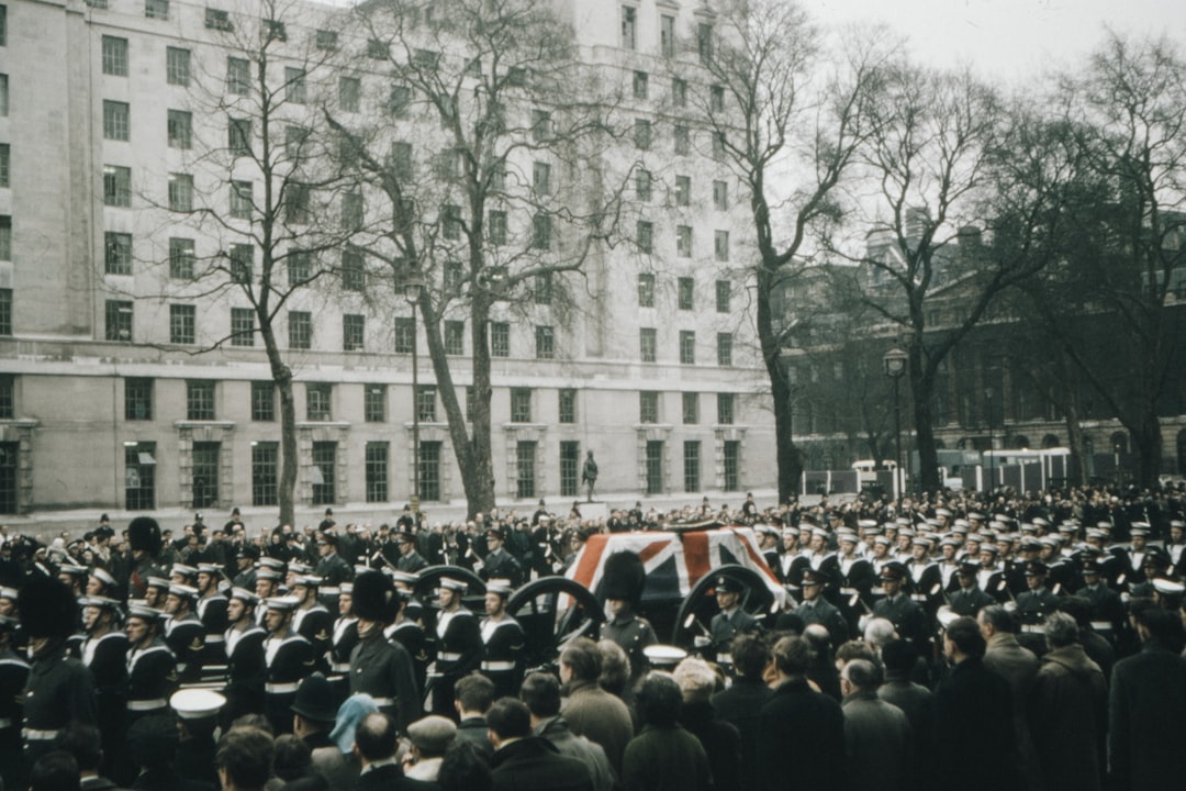 people standing near bare trees during daytime