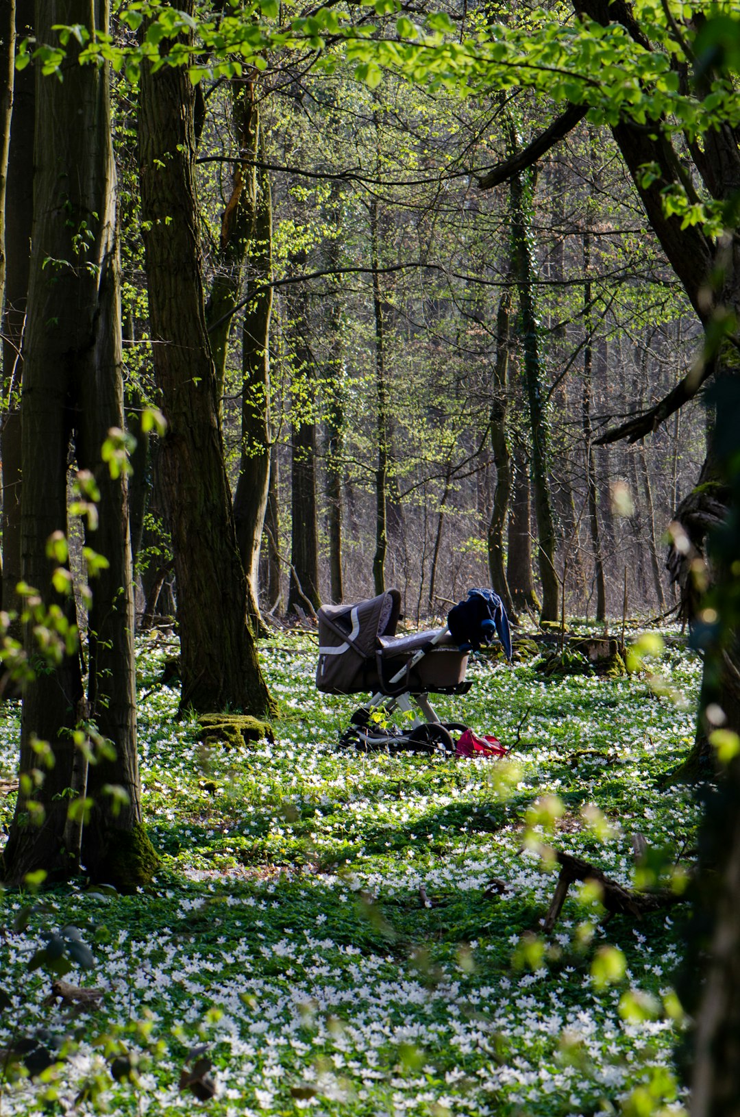 man and woman sitting on green grass field surrounded by trees during daytime