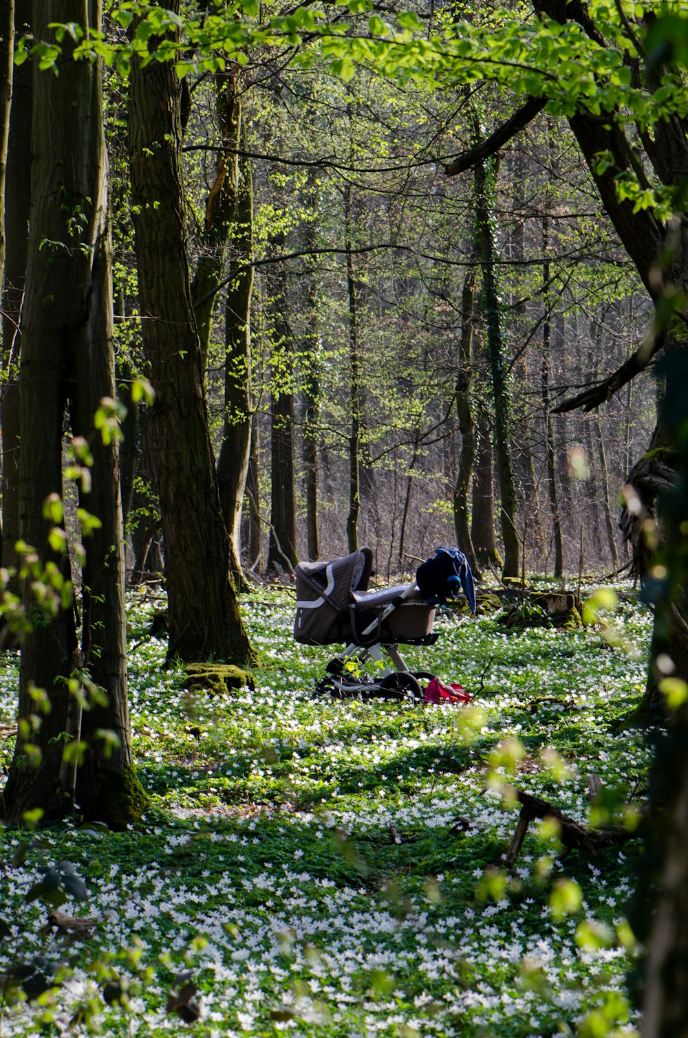 man and woman sitting on green grass field surrounded by trees during daytime