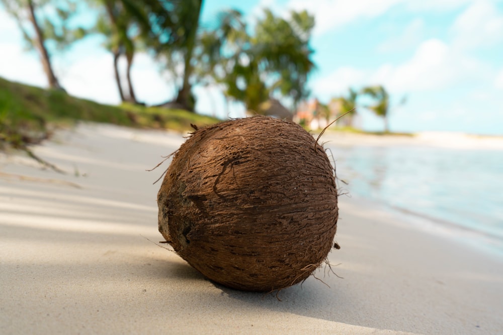 brauner runder Ball auf weißem Sand tagsüber