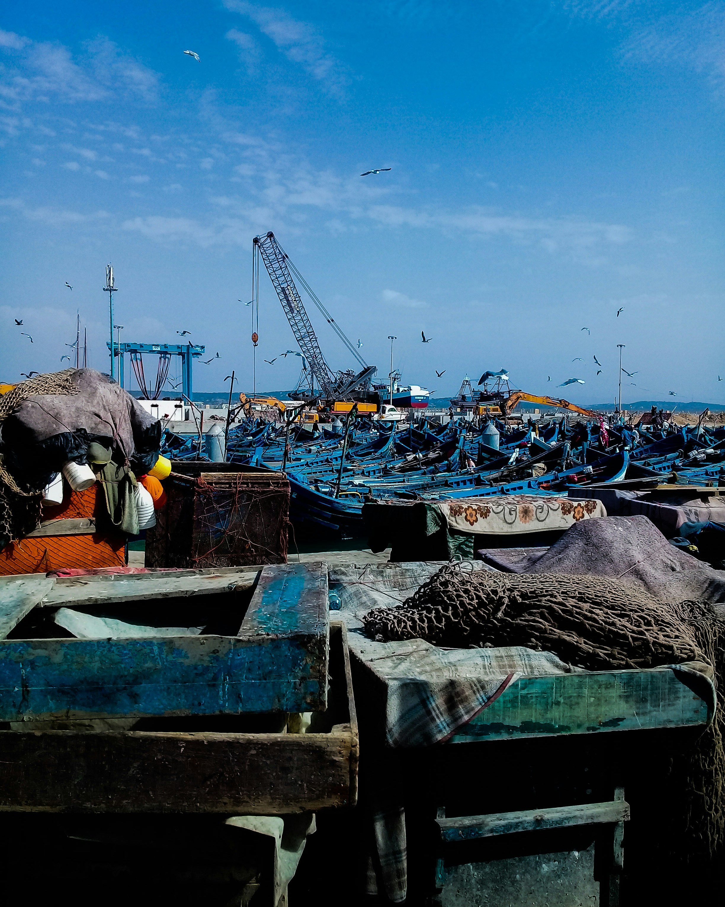 Photo by sunflower88