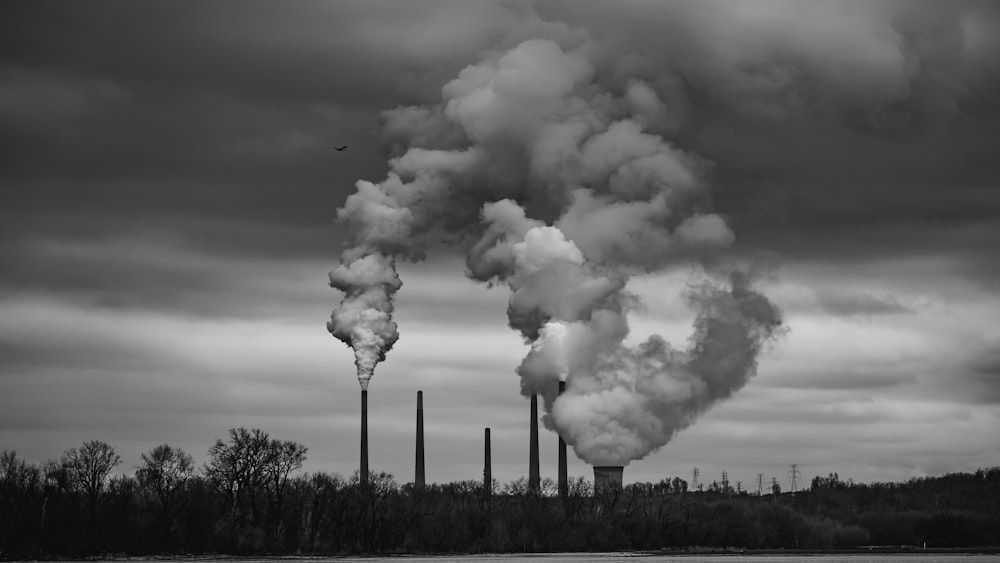 grayscale photo of clouds over trees and plants