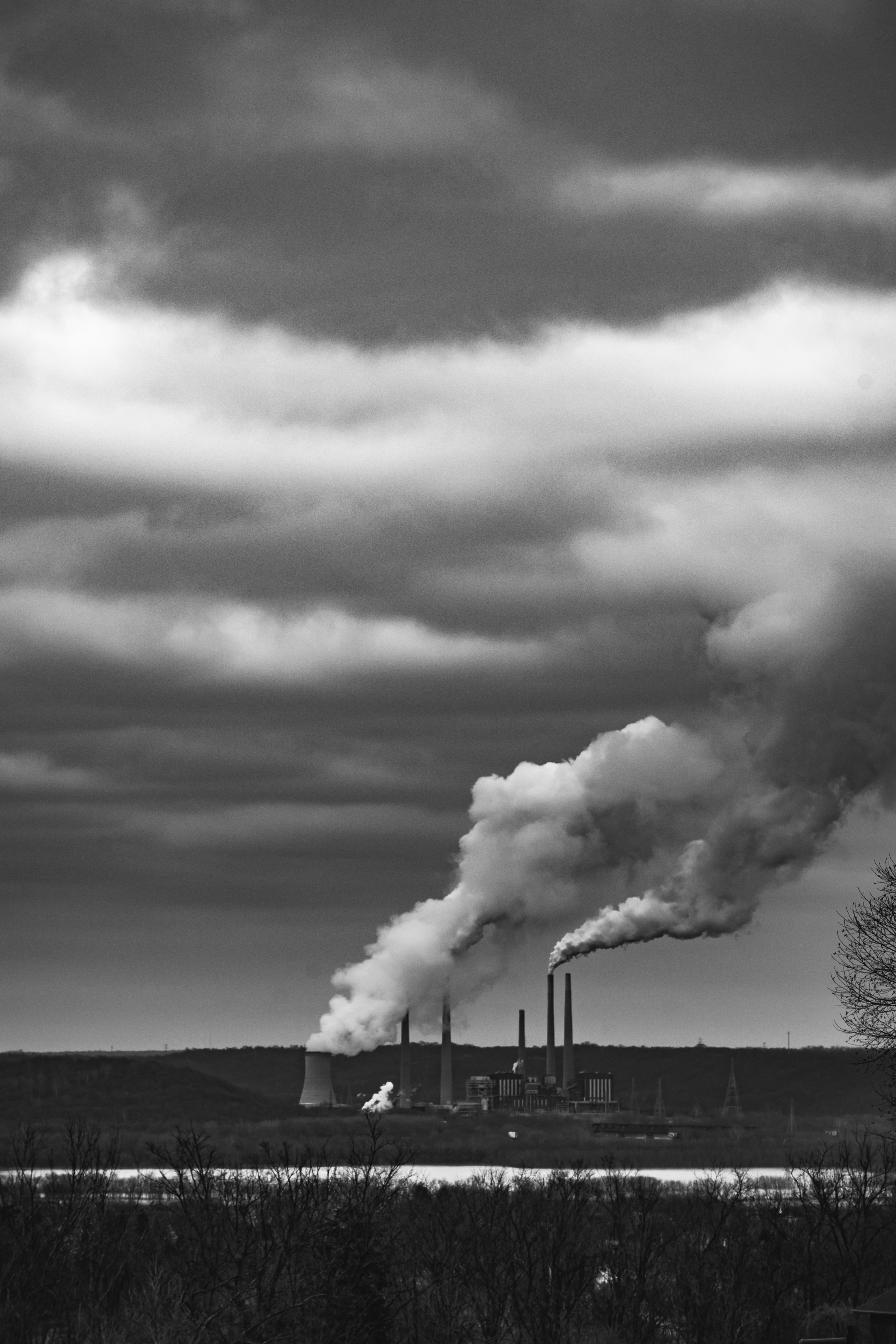 grayscale photo of clouds over trees