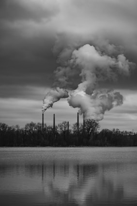 grayscale photo of trees near body of water under cloudy sky