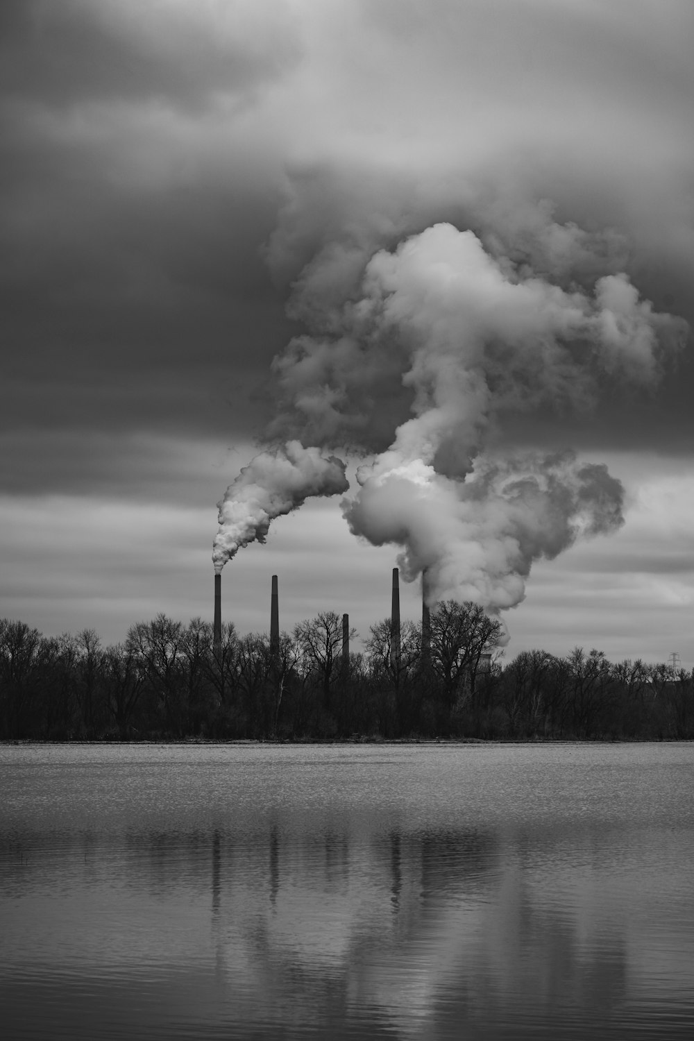 grayscale photo of trees near body of water under cloudy sky