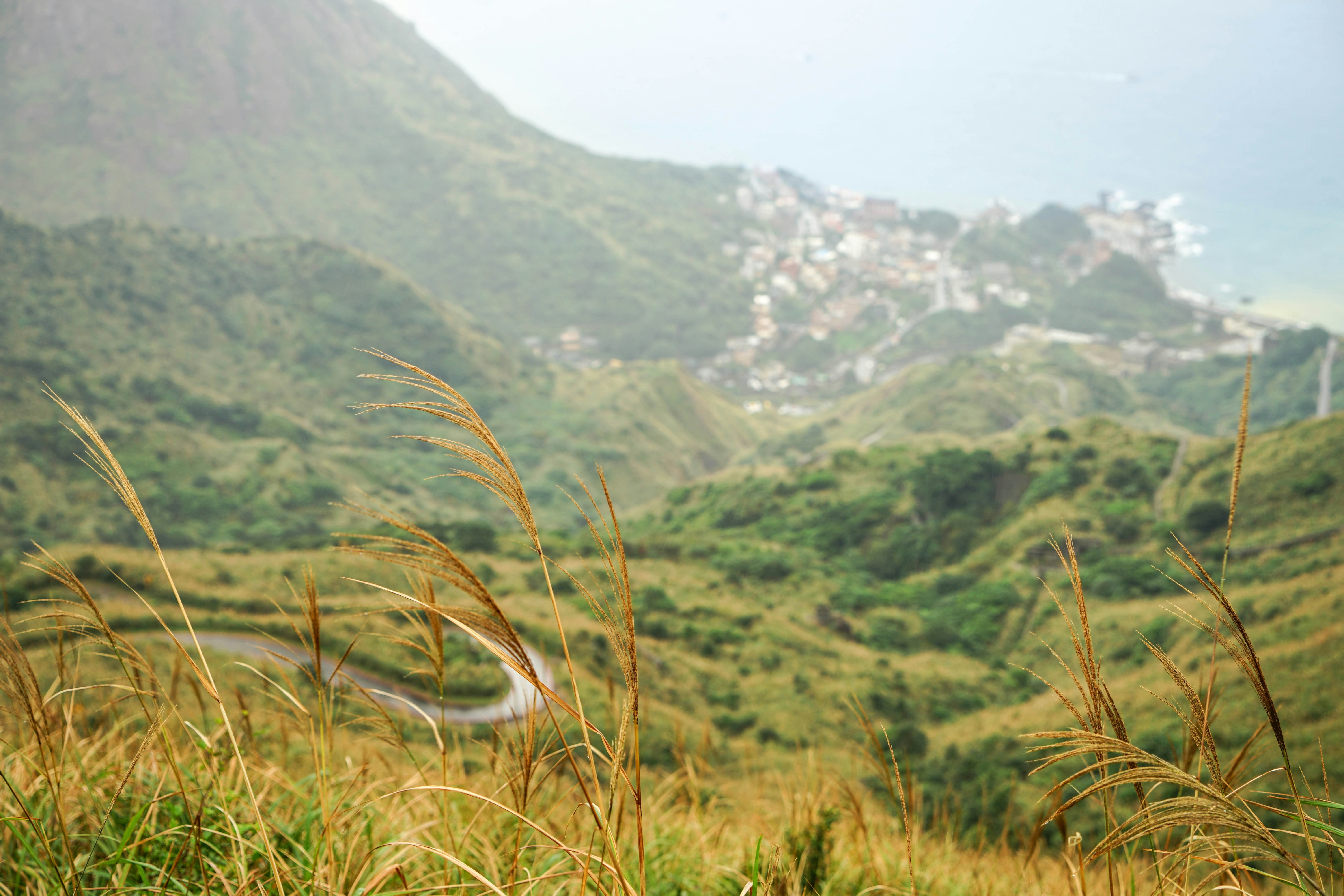 Photo by maggie__1105