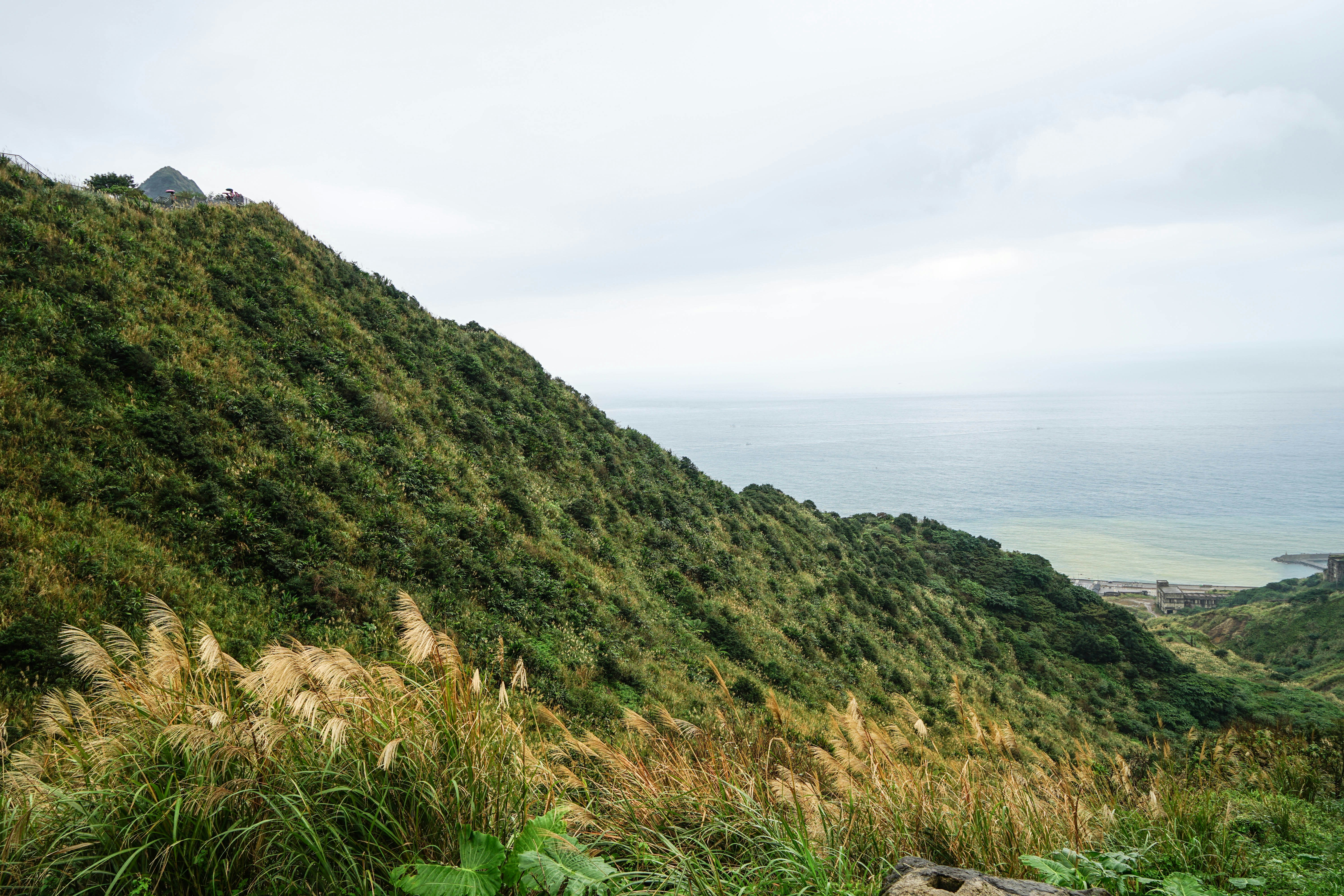 Photo by maggie__1105