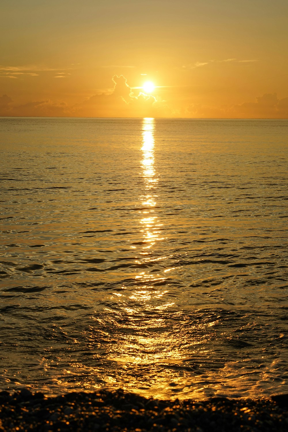 body of water during sunset