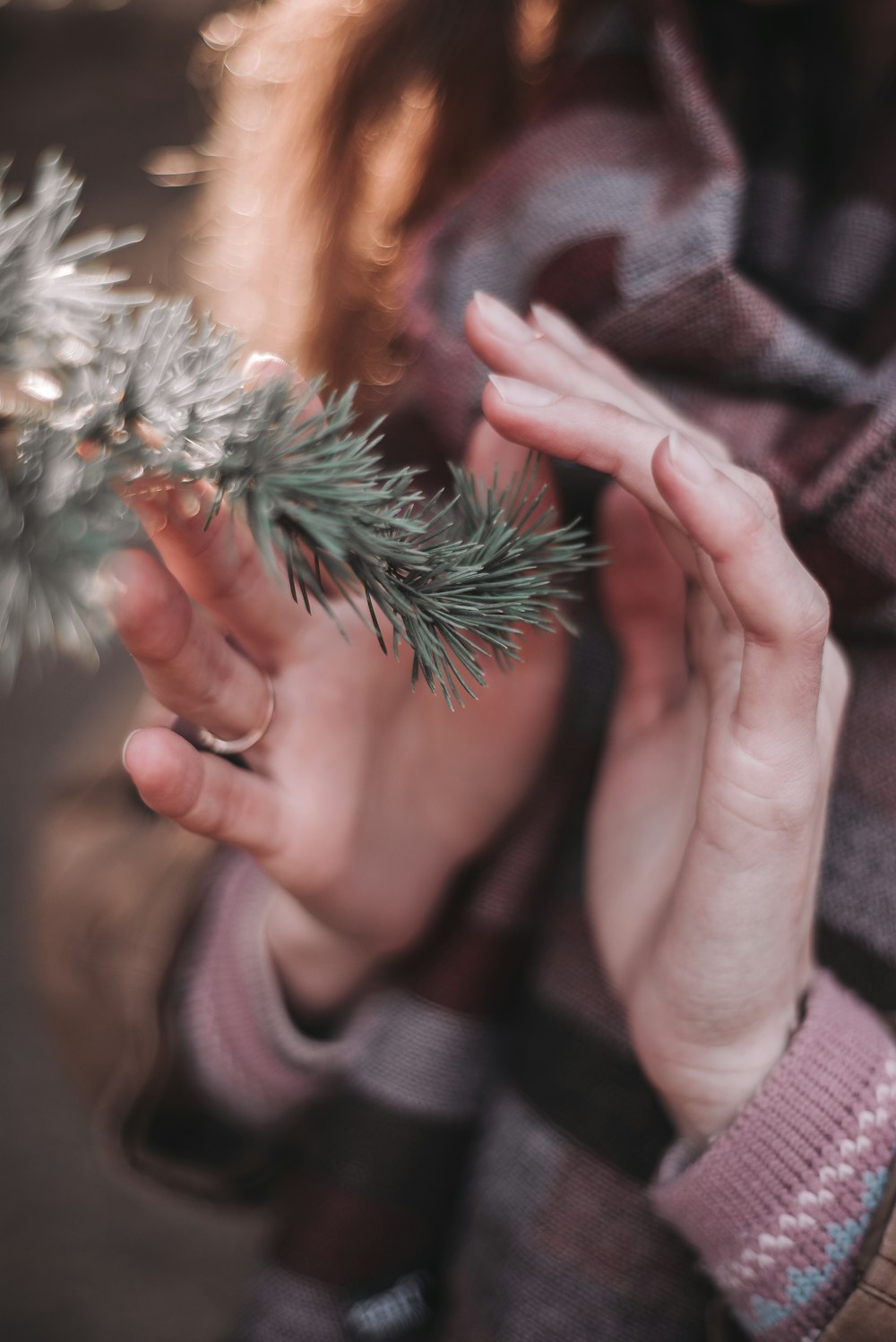 person holding green and white plant