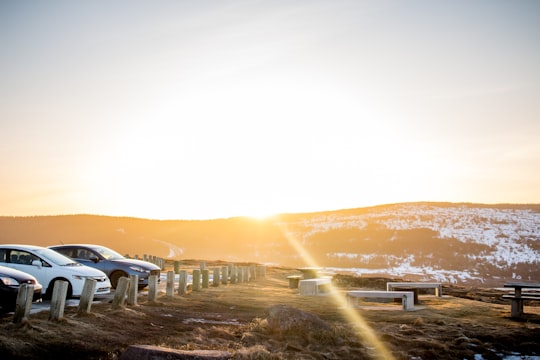 white car on road during daytime in Cape Spear Canada