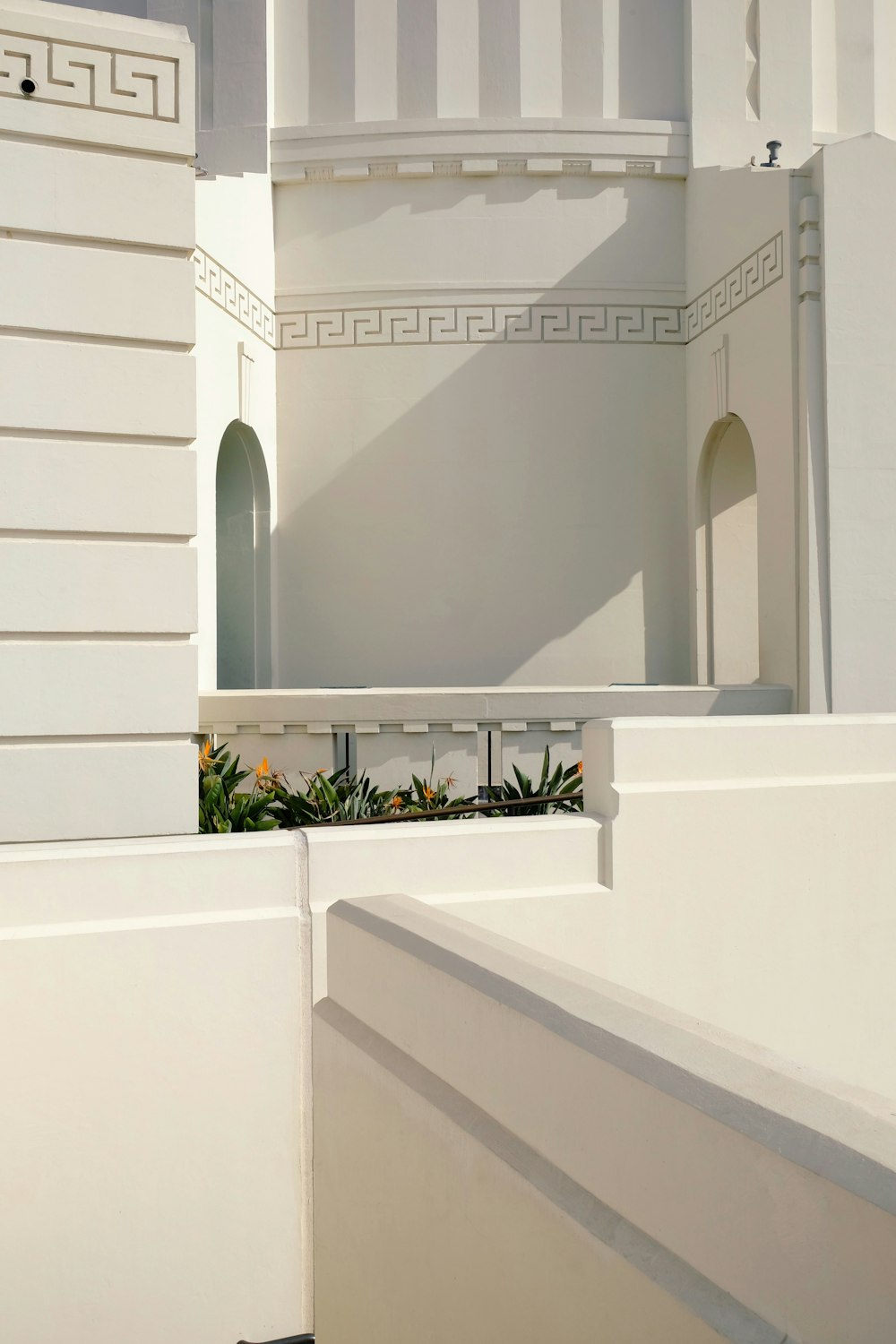 green potted plant on white concrete staircase