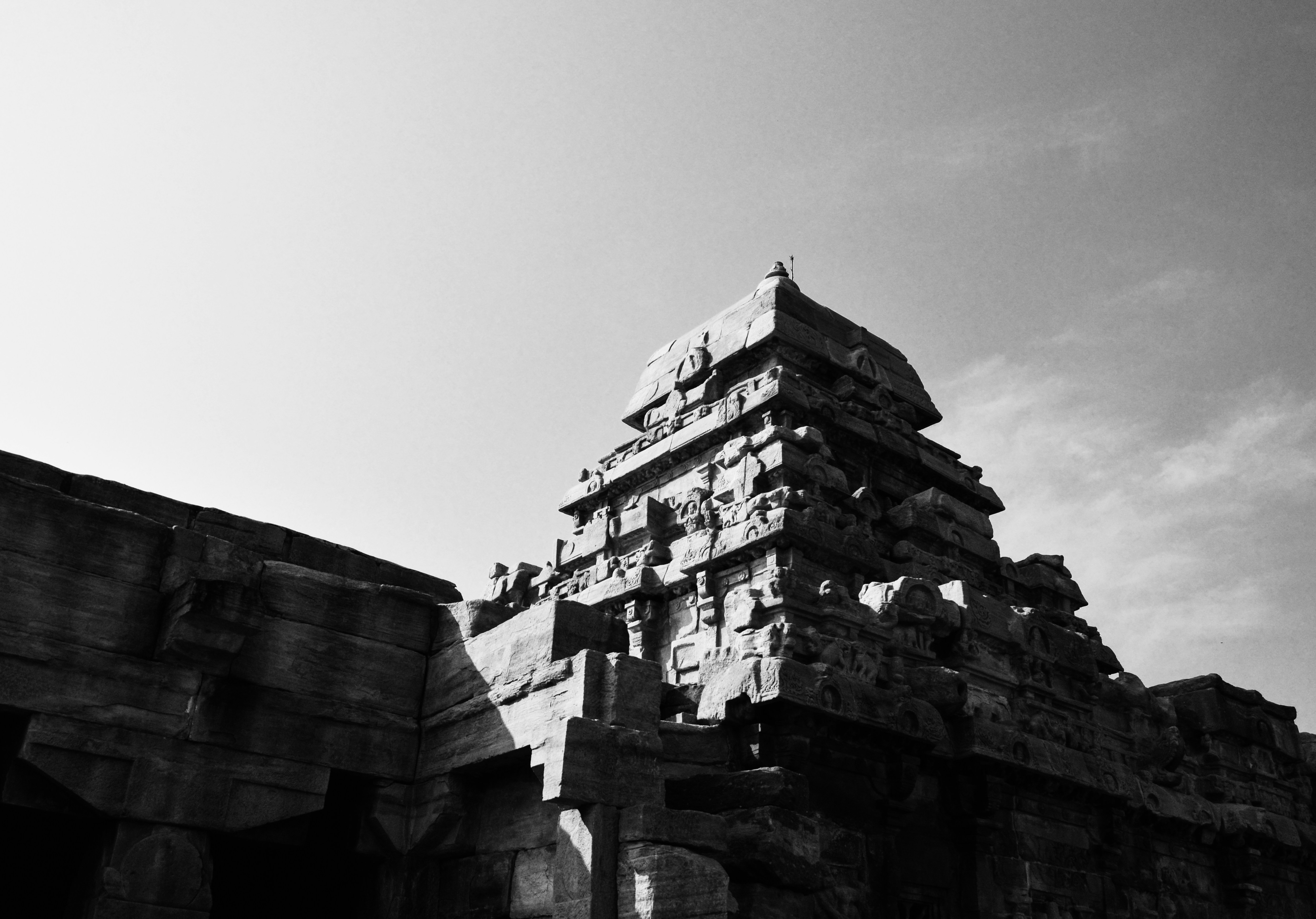 Photo by yogesh_7