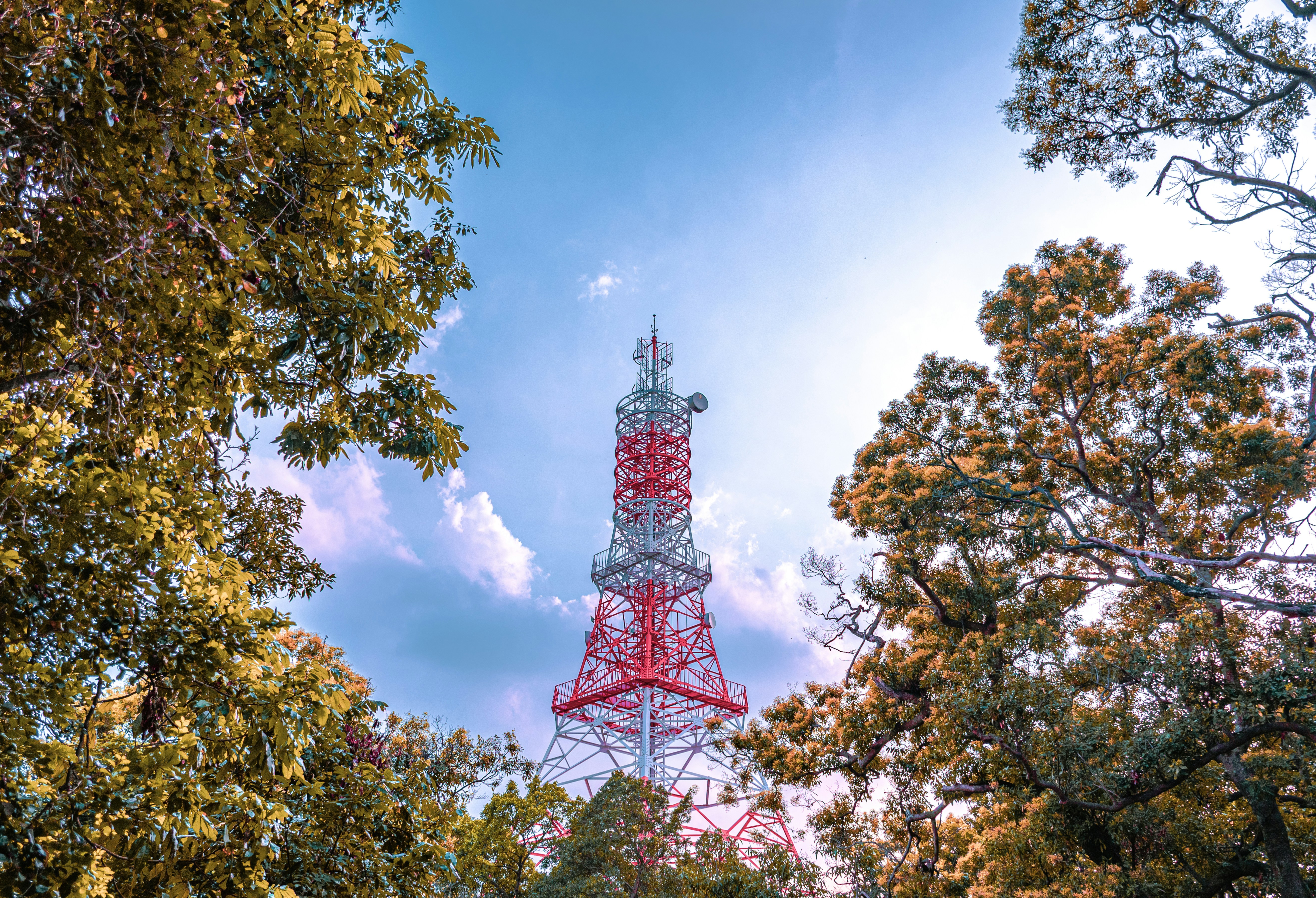 Photo by junhochak