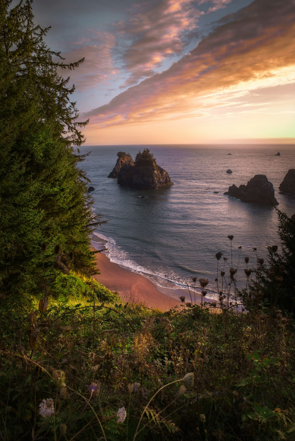 green trees near body of water during sunset