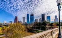 city skyline under blue sky during daytime