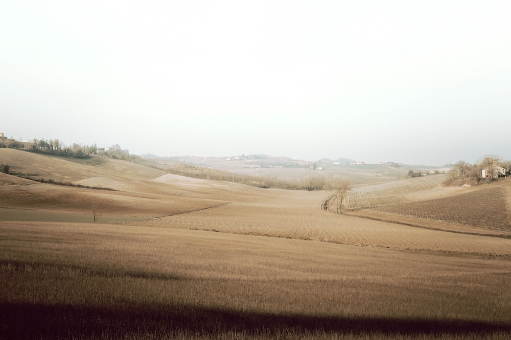 brown field under white sky during daytime