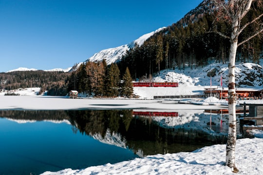 white and red house near lake and trees covered with snow during daytime in Davos Switzerland