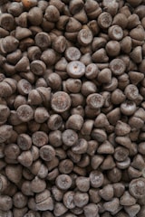 Quality Chocolate Chips  (Amazon Affiliate link)