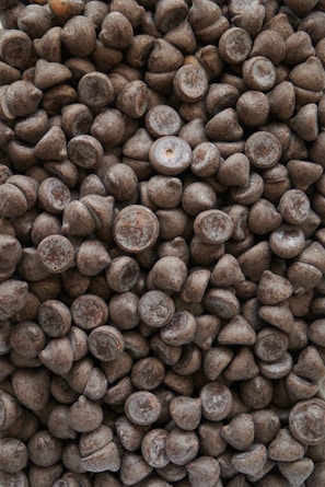 A large pile of chocolate chips tightly packed together, displaying a natural variation in color and texture with some chips exhibiting a slight sheen.