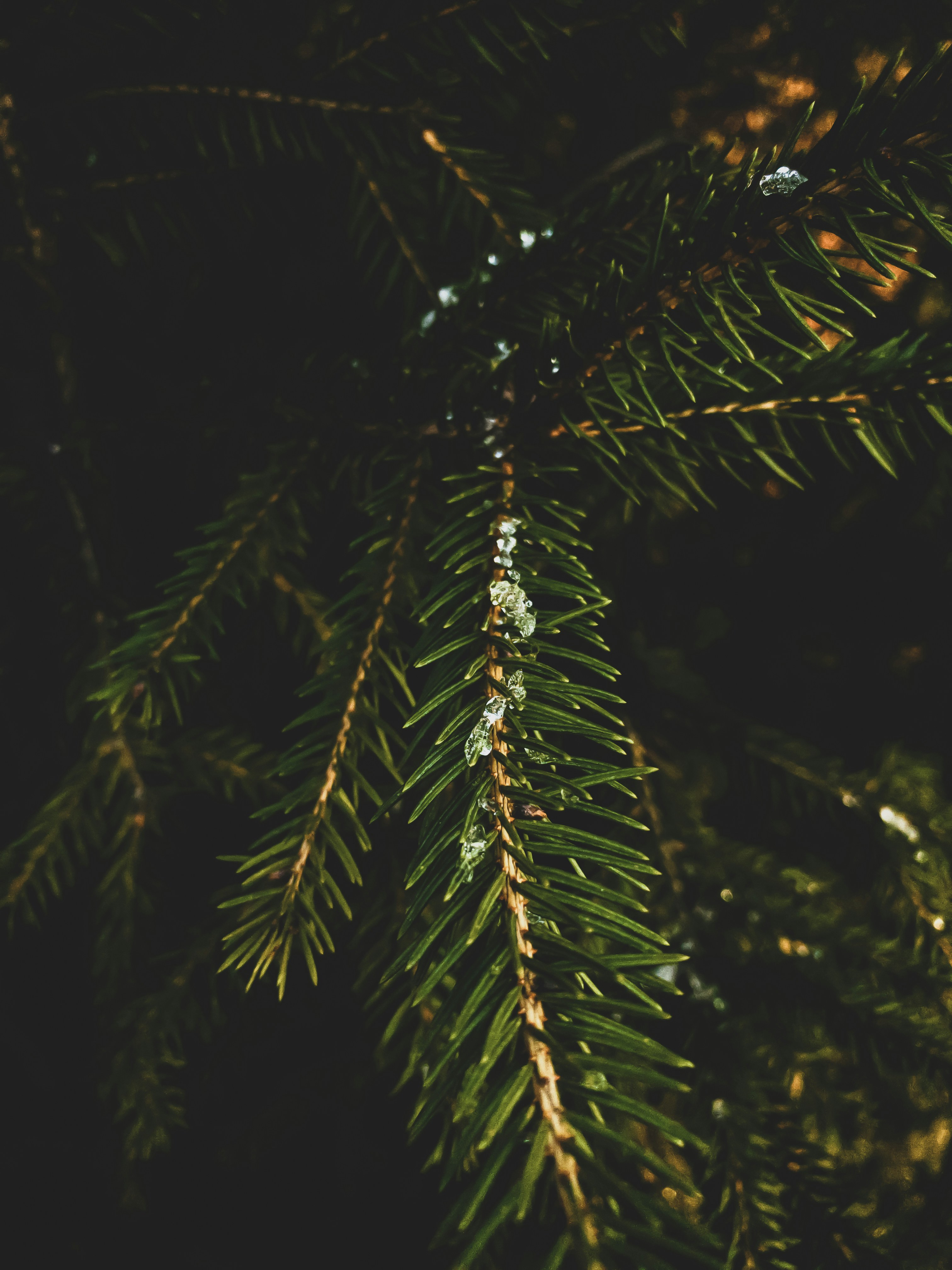 Photo by jakub_neskora