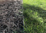 Side-by-side comparison of a vacant lot before and after 草刈り service.