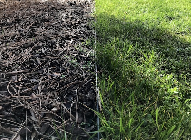 Before and after photos showcasing a dramatic yard transformation.
