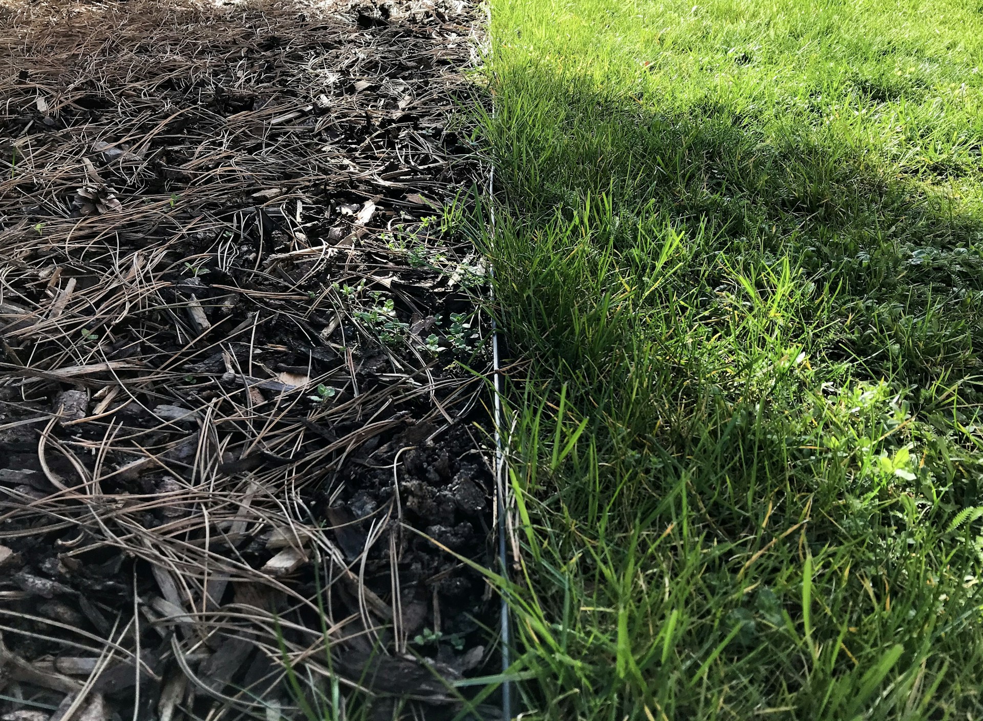 Side-by-side comparison showing a garden cleared of debris and weeds, now vibrant and well-maintained.