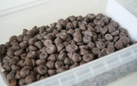 brown coffee beans on white plastic container