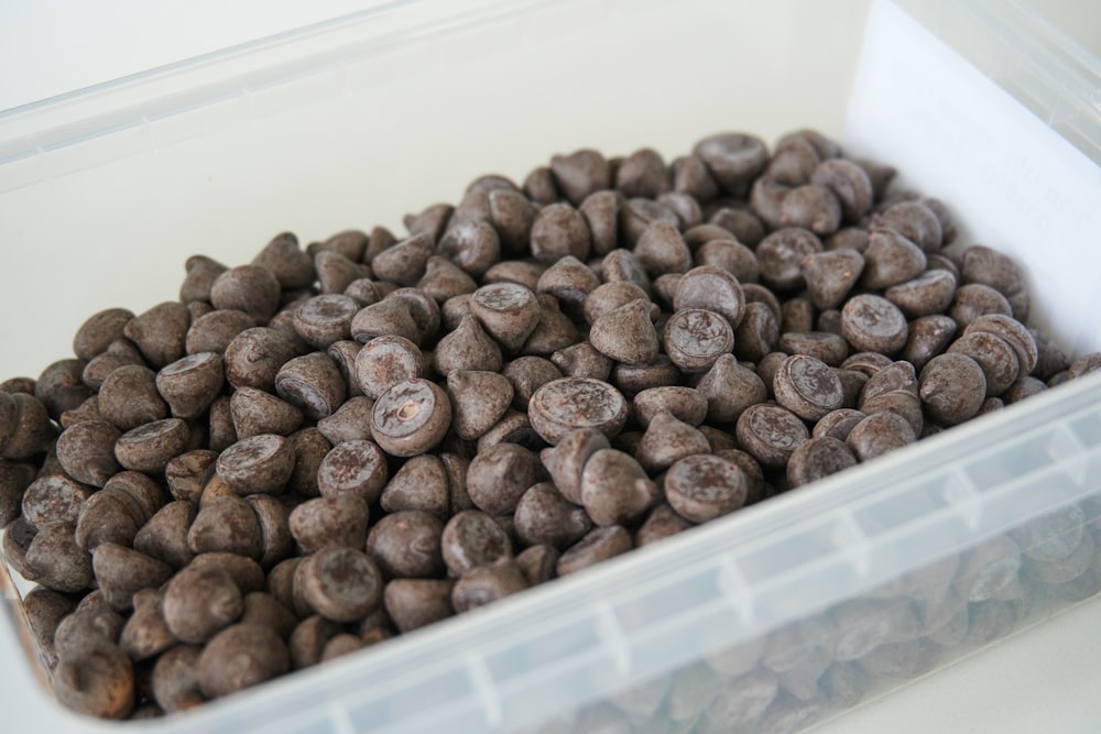 grains de café bruns sur récipient en plastique blanc