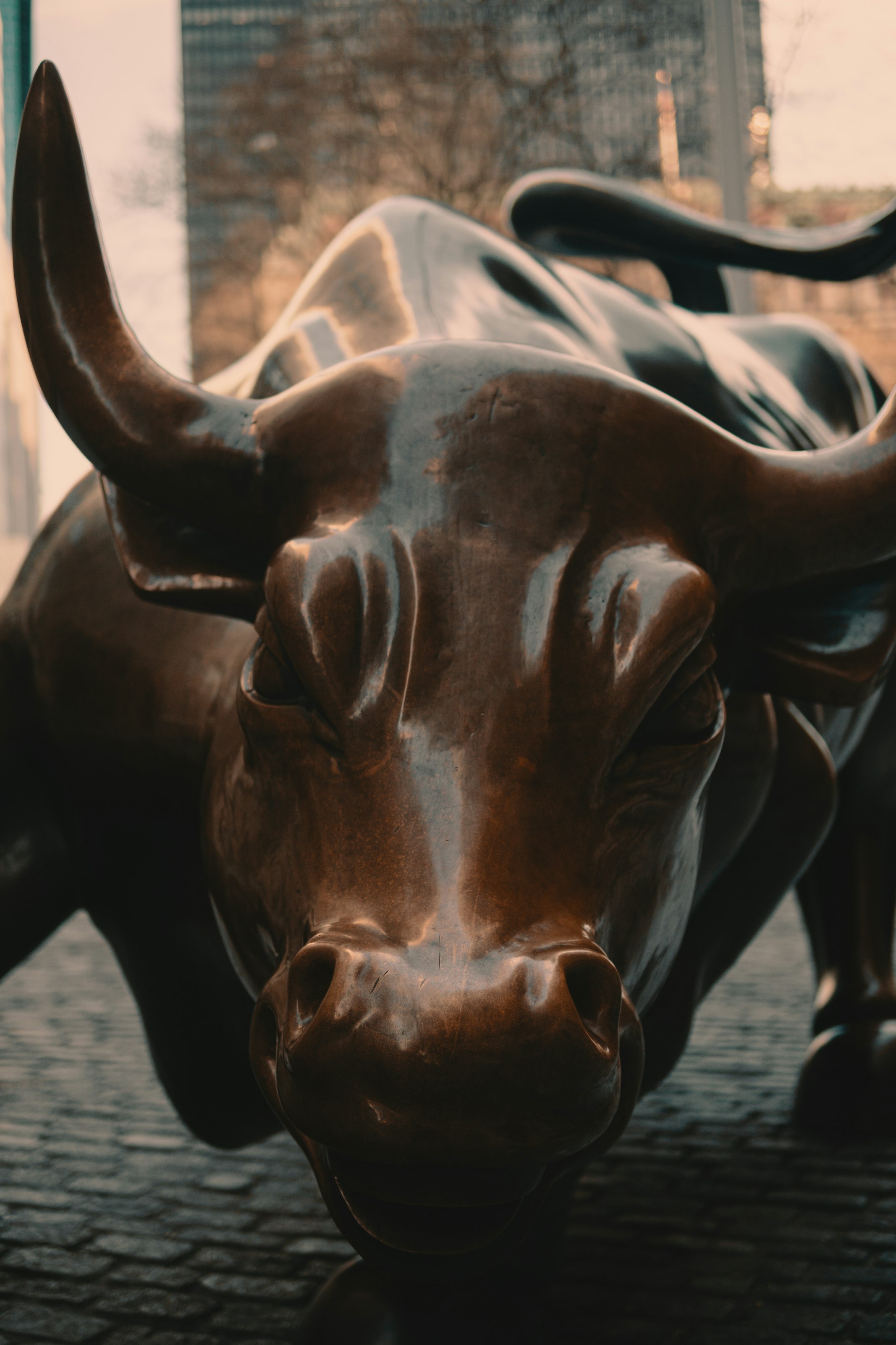 Bildtext: "Charging Bull" eller "Wall Street Bull" i New York City