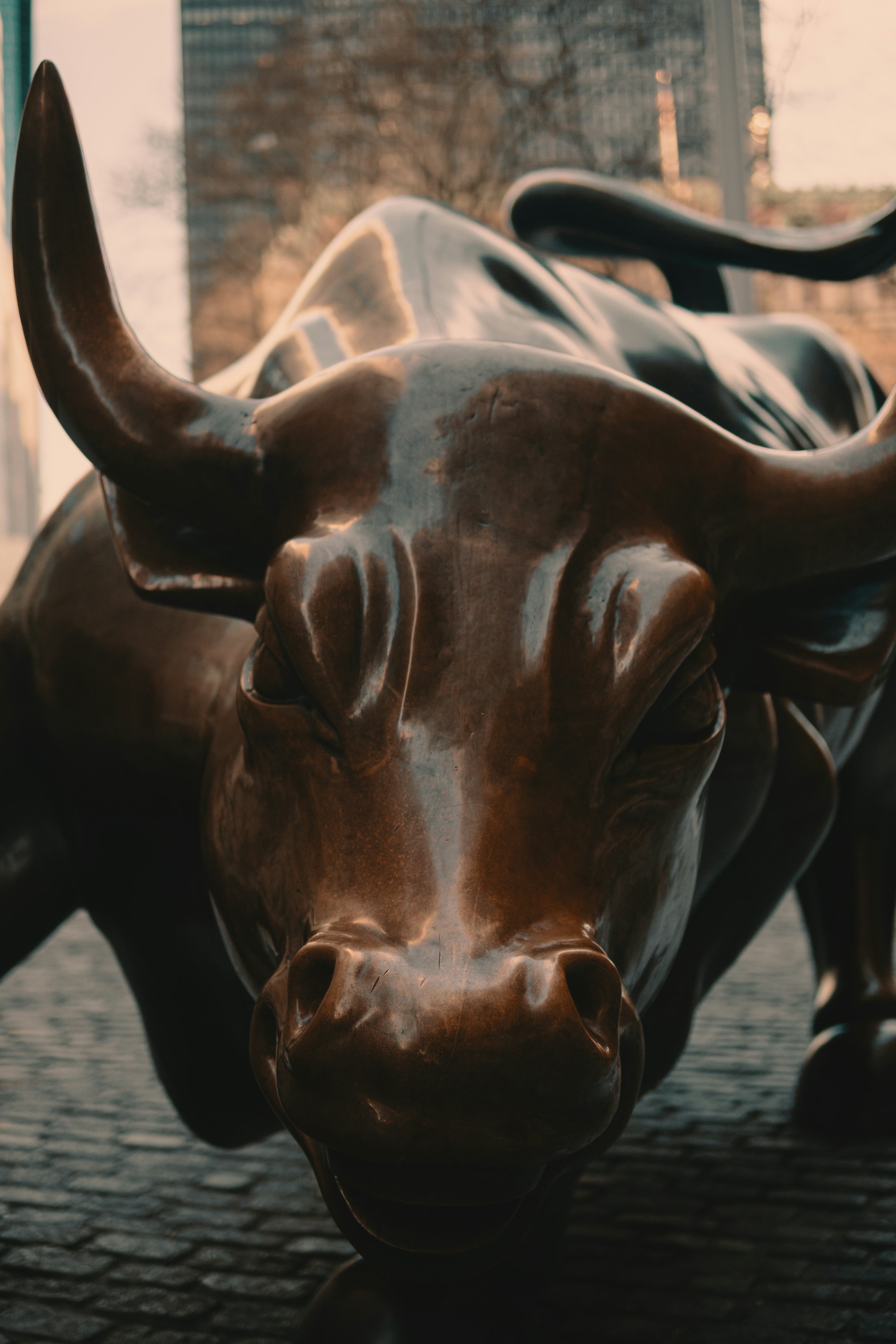 Caption: “Charging Bull” or “Wall Street Bull” in New York City
