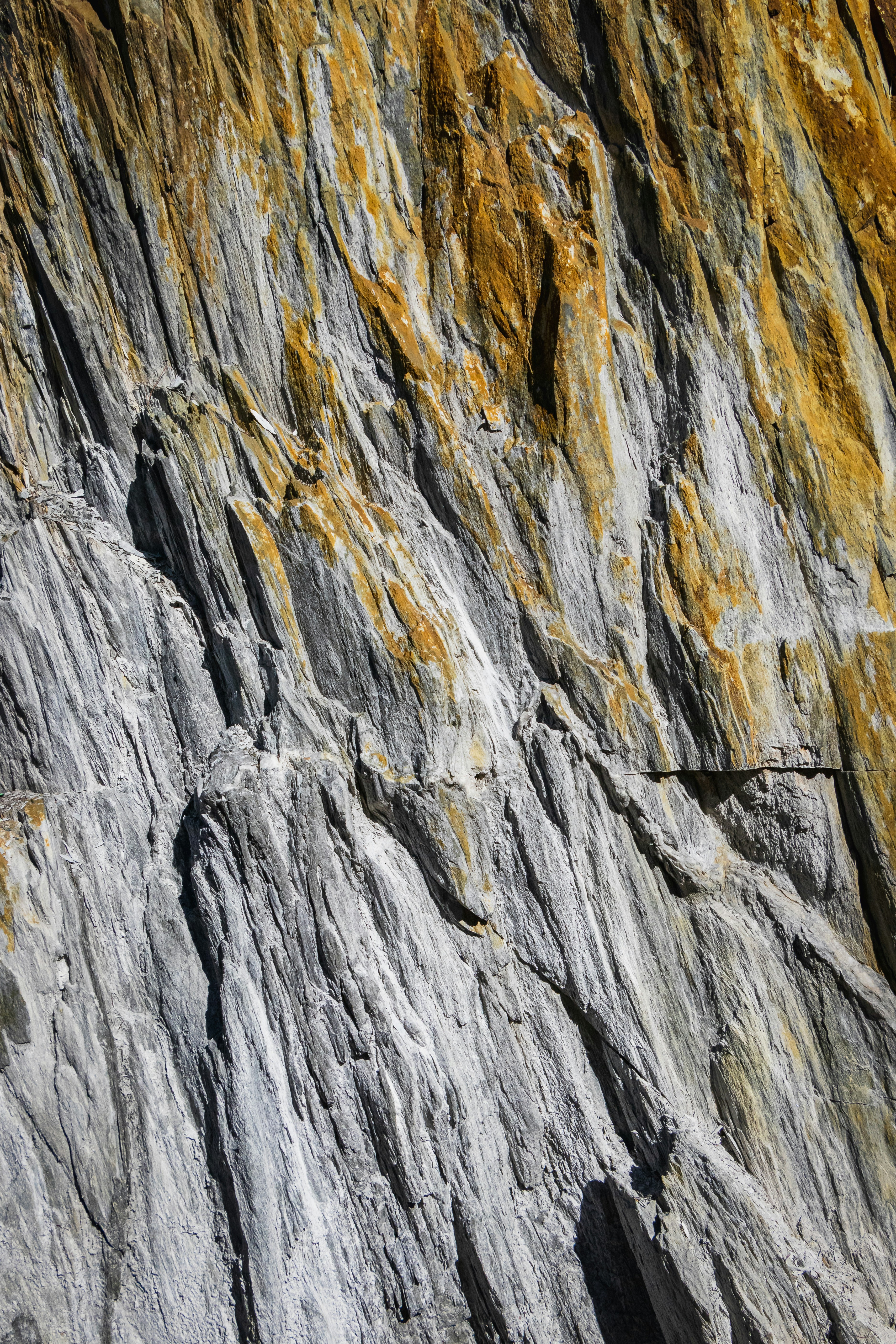 Photo by greg_rosenke