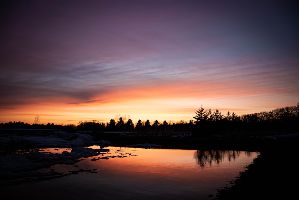 silhouette of trees near body of water during sunset