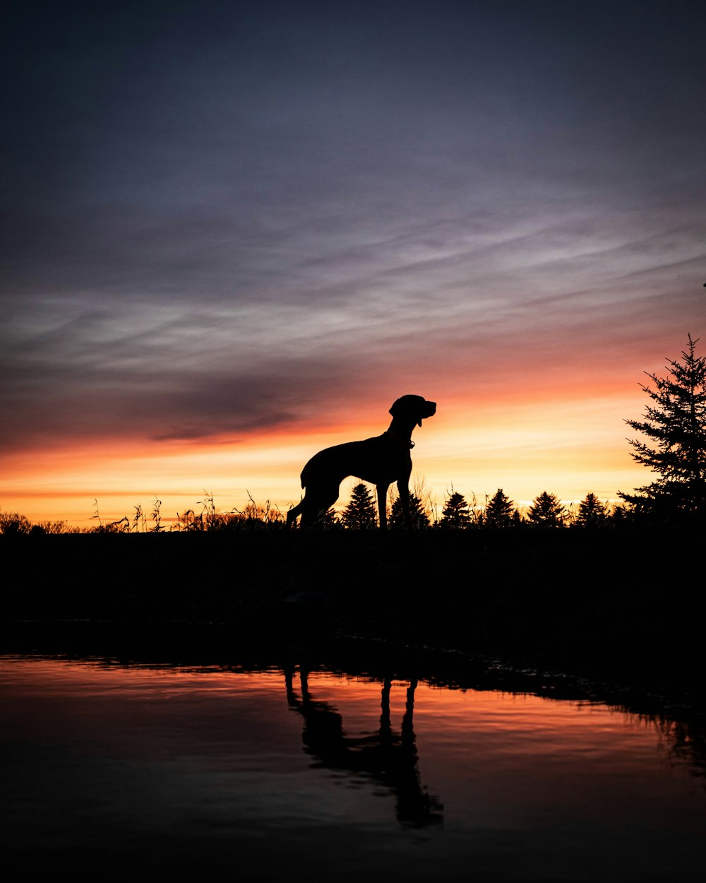 Silhouette eines Mannes, der während des Sonnenuntergangs an der Küste steht