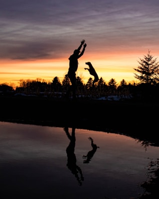 silhouette of 2 person jumping on water during sunset