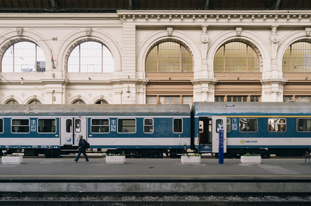 blue and white train in train station,
