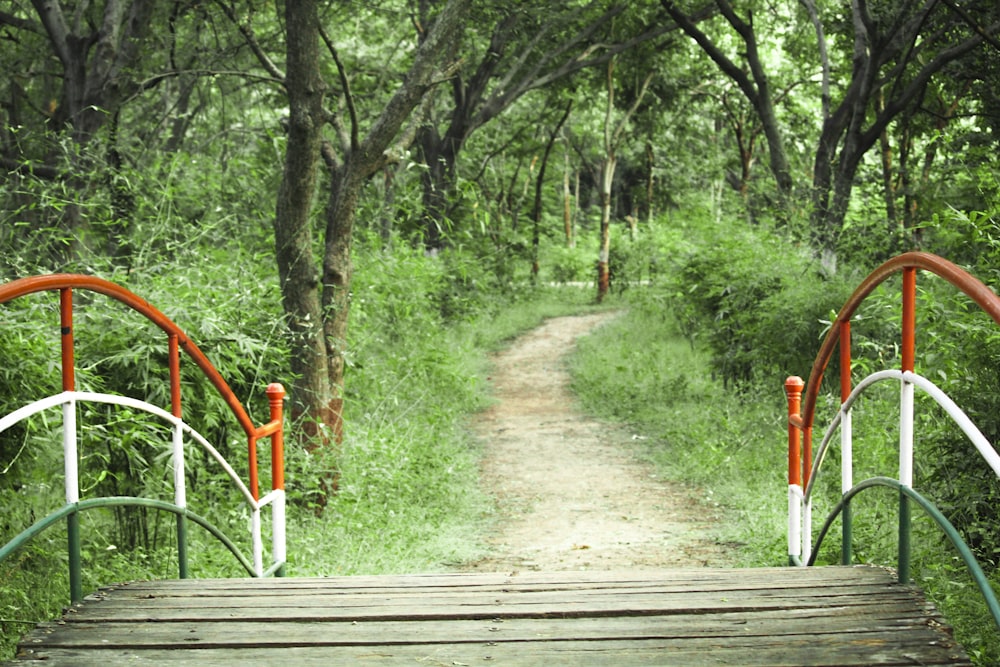 brown wooden bridge in the woods