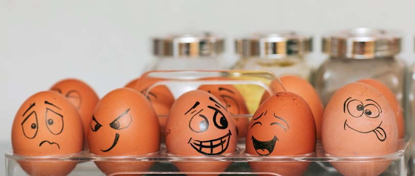 orange and white egg on stainless steel rack